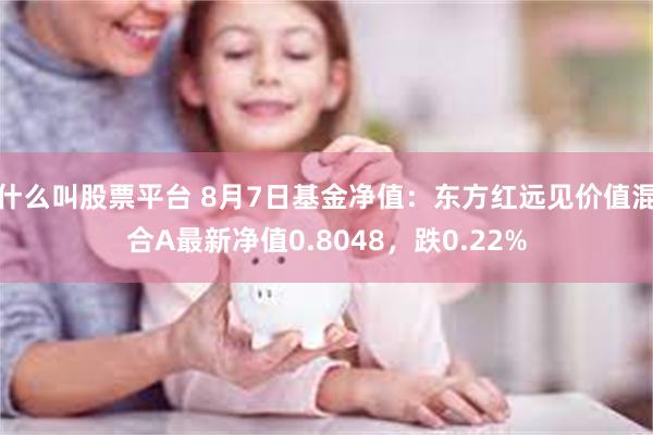 什么叫股票平台 8月7日基金净值：东方红远见价值混合A最新净值0.8048，跌0.22%