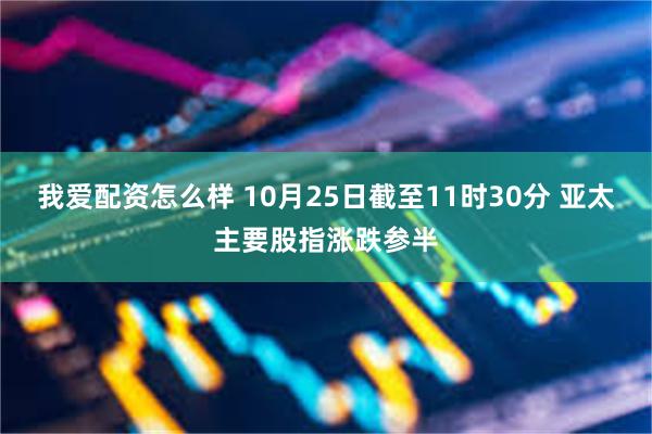 我爱配资怎么样 10月25日截至11时30分 亚太主要股指涨跌参半