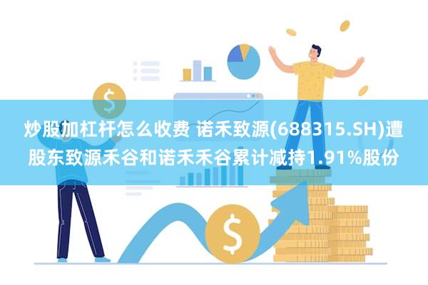 炒股加杠杆怎么收费 诺禾致源(688315.SH)遭股东致源禾谷和诺禾禾谷累计减持1.91%股份