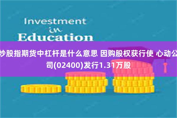 炒股指期货中杠杆是什么意思 因购股权获行使 心动公司(02400)发行1.31万股