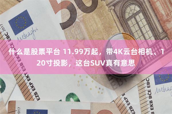 什么是股票平台 11.99万起，带4K云台相机、120寸投影，这台SUV真有意思