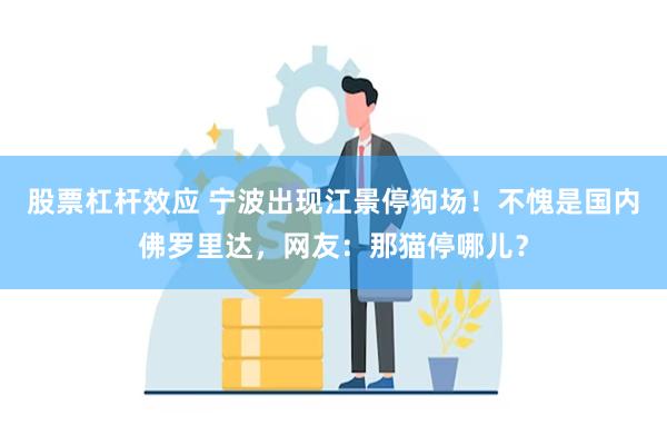 股票杠杆效应 宁波出现江景停狗场！不愧是国内佛罗里达，网友：那猫停哪儿？