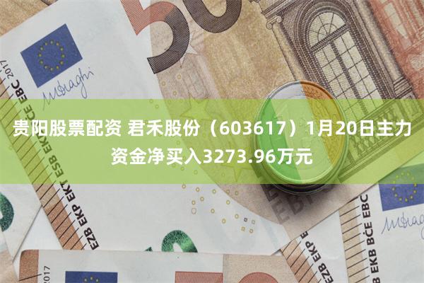 贵阳股票配资 君禾股份（603617）1月20日主力资金净买入3273.96万元