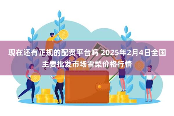 现在还有正规的配资平台吗 2025年2月4日全国主要批发市场雪梨价格行情