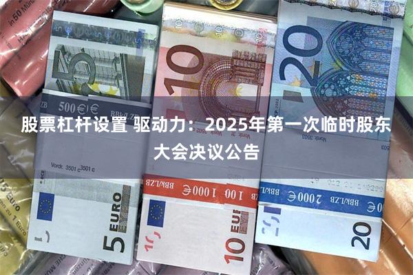 股票杠杆设置 驱动力：2025年第一次临时股东大会决议公告